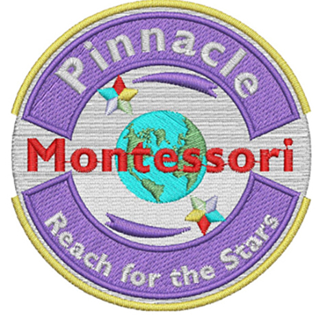 Pinnacle Montessori Academy At Alamo Ranch logo
