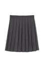 Front view of At The Knee Pleated Skirt opens large image - 1 of 2