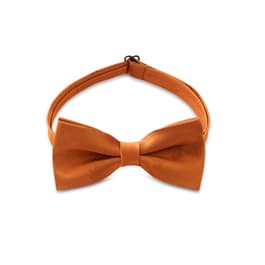 Front view  of  Graduation Bow Tie