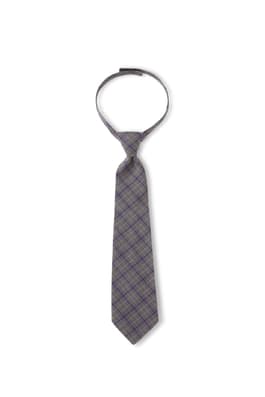 Product Image with Product code 1030,name  Adjustable Plaid Tie   color GPPL 