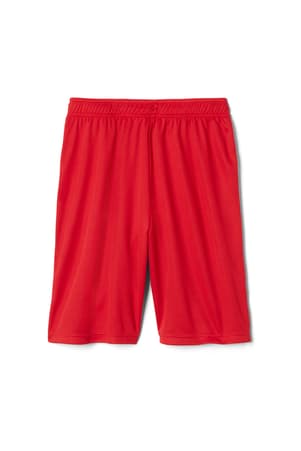 Product Image with Product code 1682,name  Closed Mesh Short   color RED 