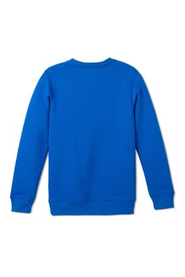 Front view of crewneck fleece sweatshirt