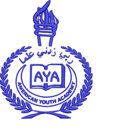 American Youth Academy logo