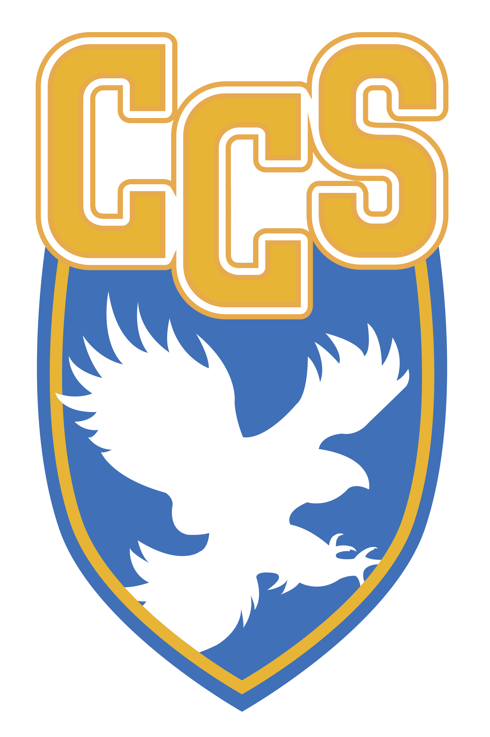 Community Christian School Of Nashville logo