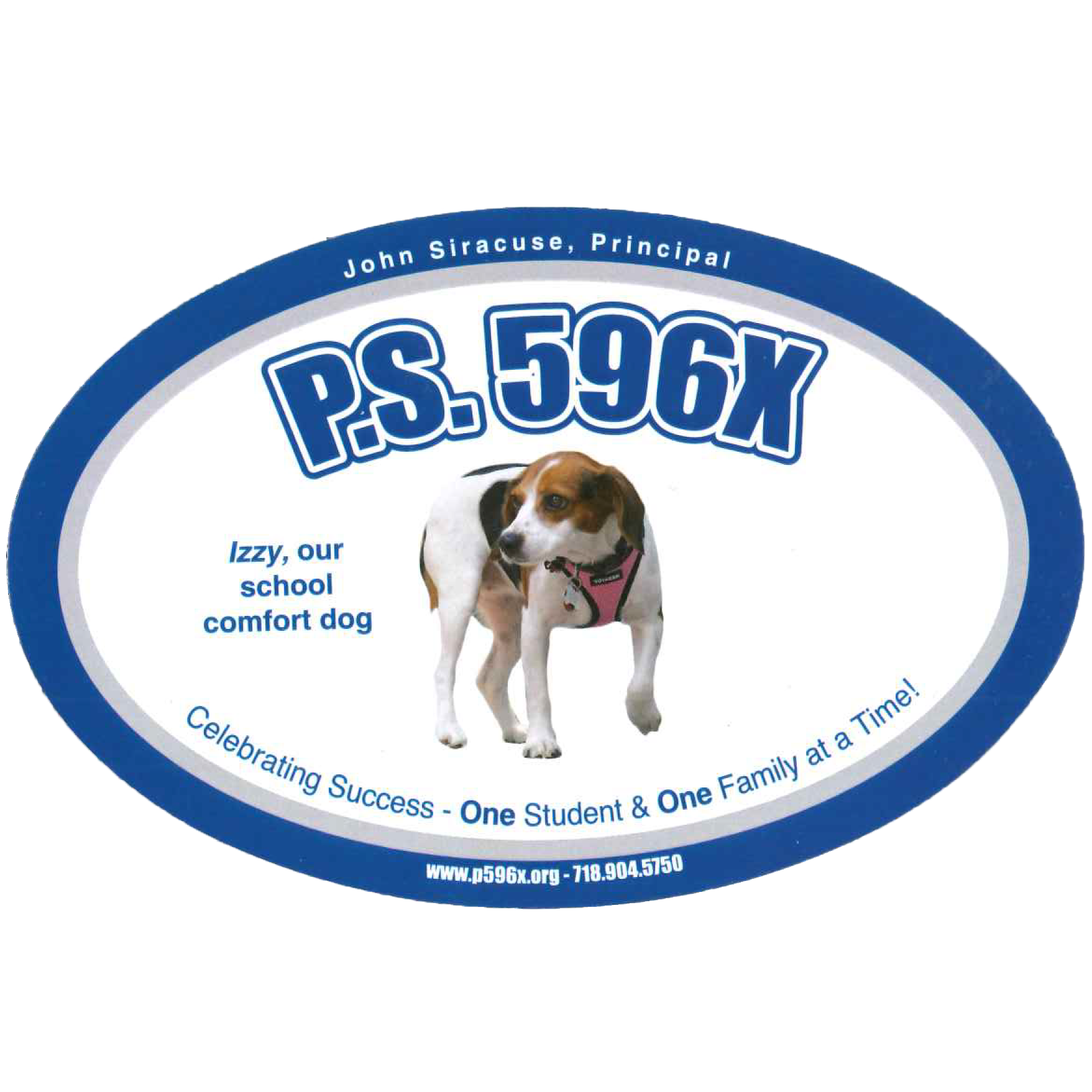PS 596X logo