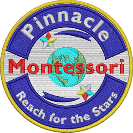 Pinnacle Montessori-North San Antonio logo