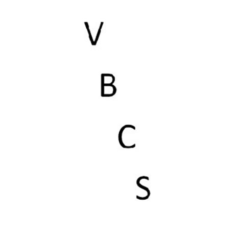 Valley Baptist Christian School logo