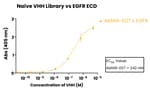 VHH Naïve Library vs EGFR ECD