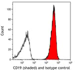 Detection of human CD19 (shaded) in Ramos cells by flow cytometry.
