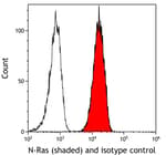 Detection of human N-Ras (shaded) in Jurkat cells by flow cytometry.