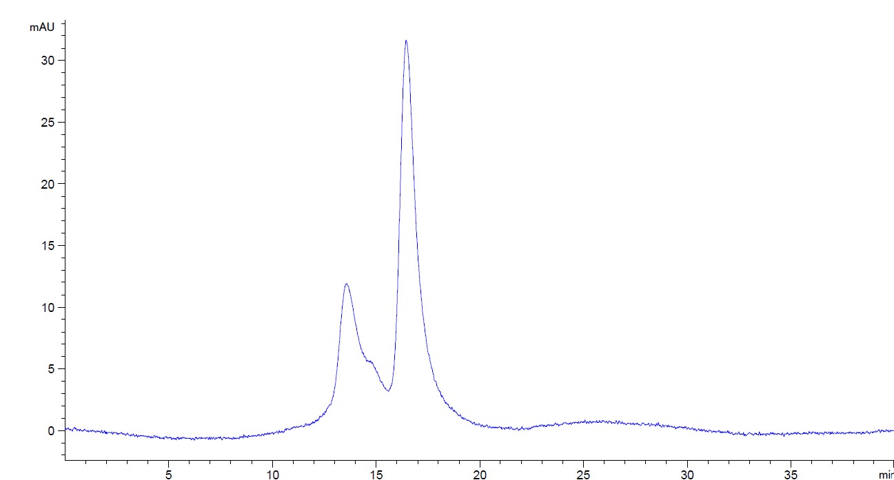 Purified Recombinant Human IgA2, kappa
