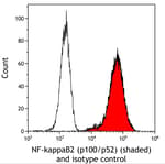 Detection of human NF-kappaB2 (p100/p52) (shaded) in 786-O cells by flow cytometry.