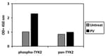 Human Phospho-TYK2 (Y1054) and Total TYK2 ELISA Kit Typical Data