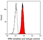 Detection of human WRN (shaded) in A549 cells by flow cytometry.