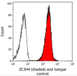 Detection of human ZC3H4 (shaded) in KG-1 cells by flow cytometry.