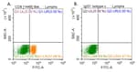 Detection of human CD8 alpha (left) in human whole blood by flow cytometry.