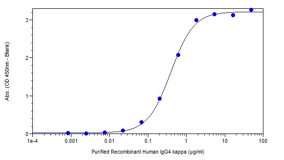 Analysis of Purified Recombinant Human IgG4, kappa by ELISA.