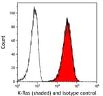 Detection of human K-Ras (shaded) in HeLa cells by flow cytometry.
