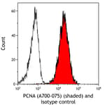 Detection of human PCNA (shaded) in Ramos cells by flow cytometry.