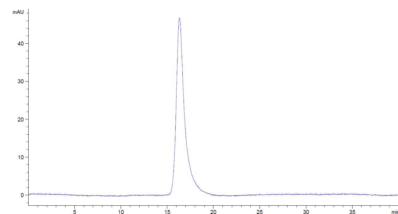 Purified Recombinant Human IgE, lambda