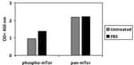Human Phospho-mTOR (S2448) and Total mTOR ELISA Kit Typical Data