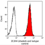 Detection of human ZC3H4 (shaded) in KG-1 cells by flow cytometry.