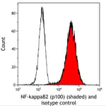 Detection of human NF-kappaB2 (p100) (shaded) in 786-O cells by flow cytometry.