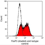 Detection of human FoxP3 (shaded) in MJ[G11] cells by flow cytometry.
