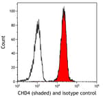 Detection of human CHD4 (shaded) in Jurkat cells by flow cytometry.