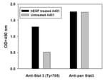 Human Phospho-STAT3 (Y705) and Total STAT3 ELISA Kit Typical Data