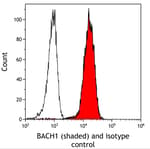 Detection of human BACH1 (shaded) in MCF-10A cells by flow cytometry.