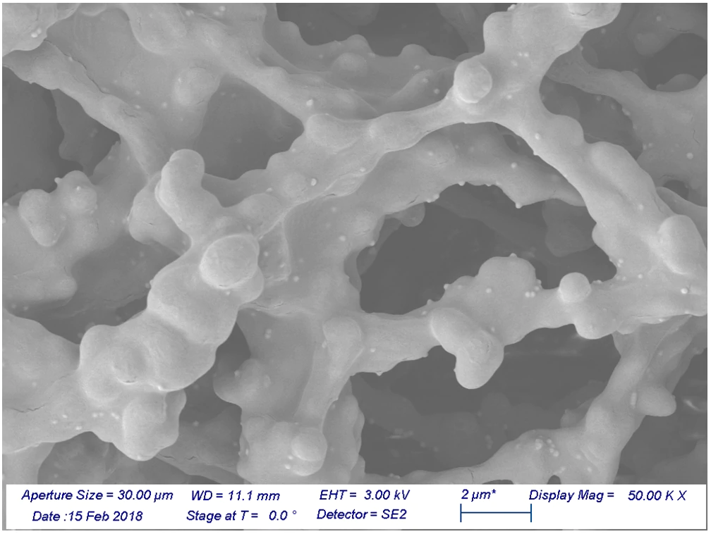 nanoshells bound to a nitrocellulose membrane showing the nanoshell size compared to the size of the pores in nitrocellulose.