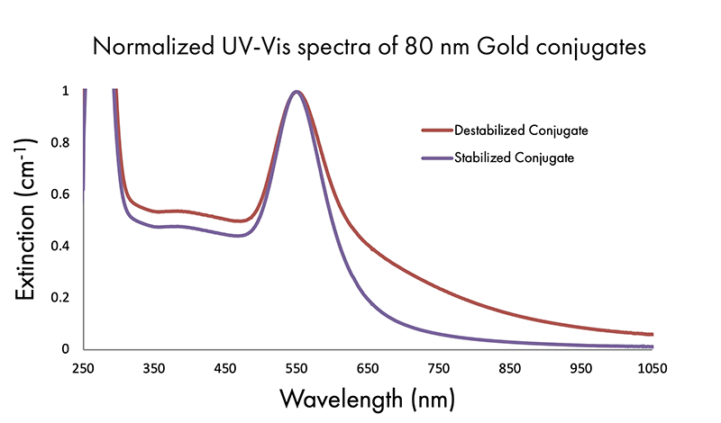 normalized UV-vis spectra of 80 nm gold conjugates