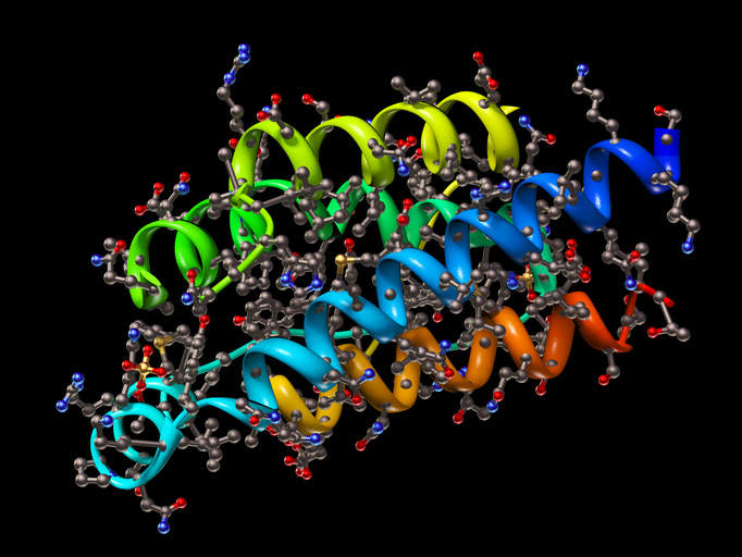 Primary Monoclonal, Polyclonal and Secondary Antibodies and Antigen Proteins