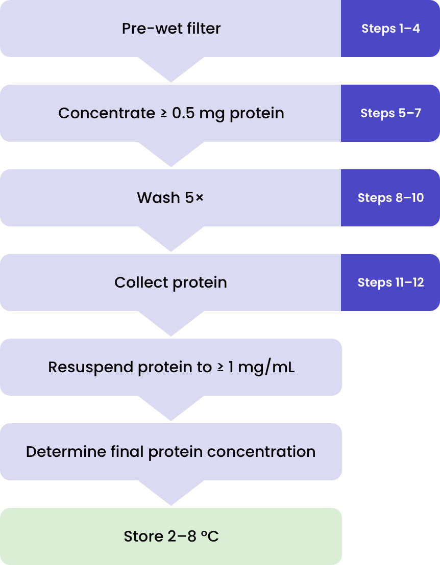  antibody purification experimentation flow chart