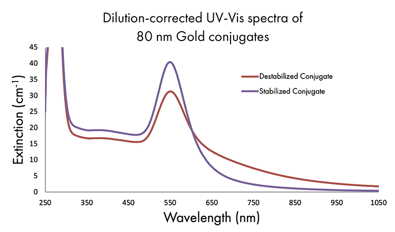 dilution-corrected UV-vis spectra of 80 nm gold conjugates