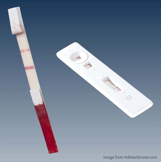 Absorbent Pad Selection for Lateral Flow - Fortis Life Sciences