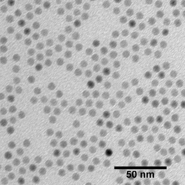 Magnetite (Iron Oxide) Nanoparticles – Fortis Life Sciences