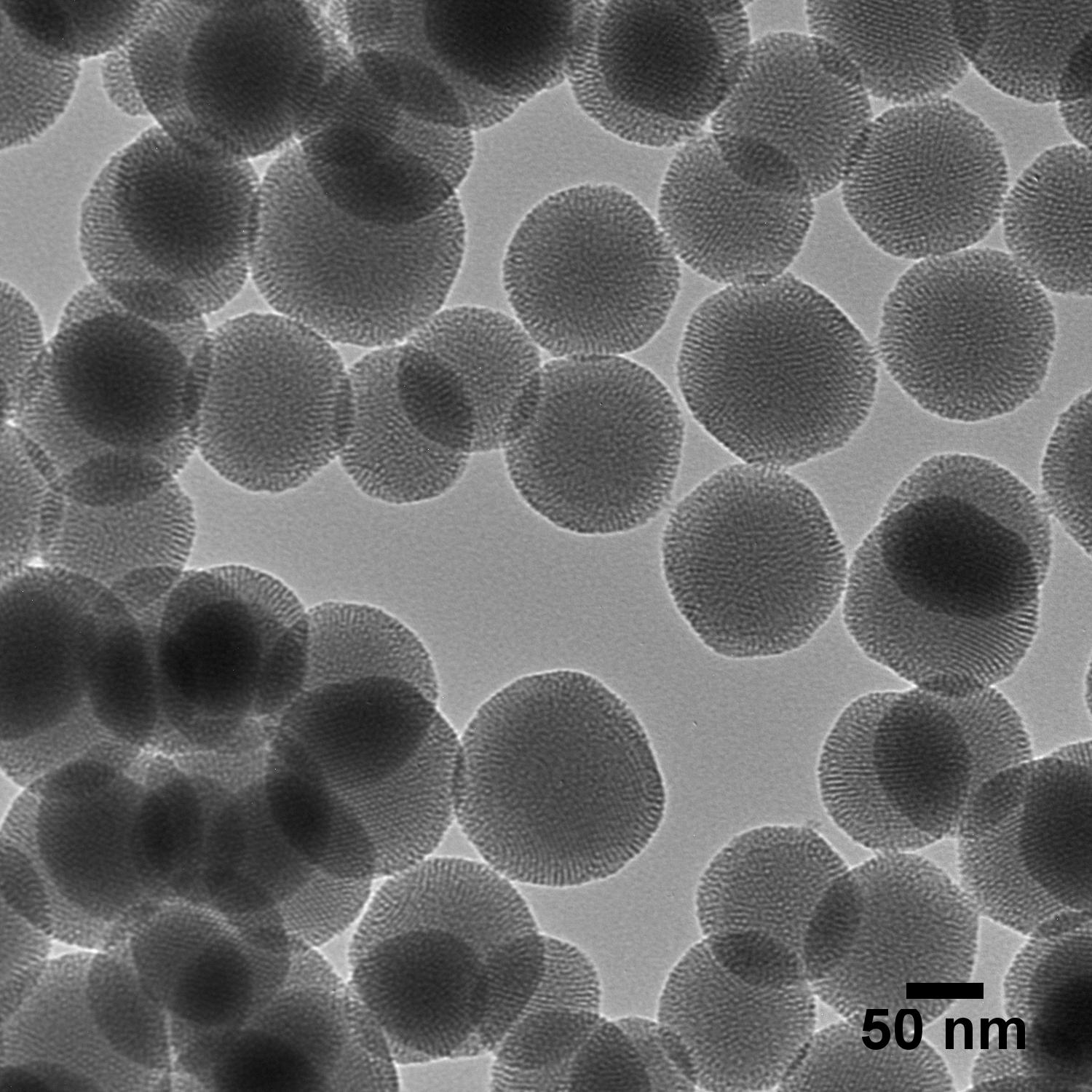 Mesoporous Silica 