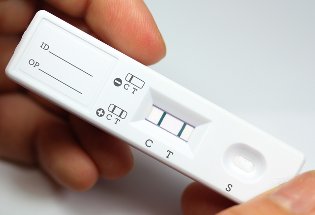 Lateral Flow Assay Products & Services