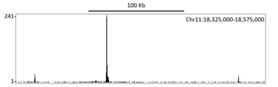 Localization of human HIF1-alpha binding sites in immunoprecipitates from CoCl2 treated HepG2 lysates by ChIP-Seq.