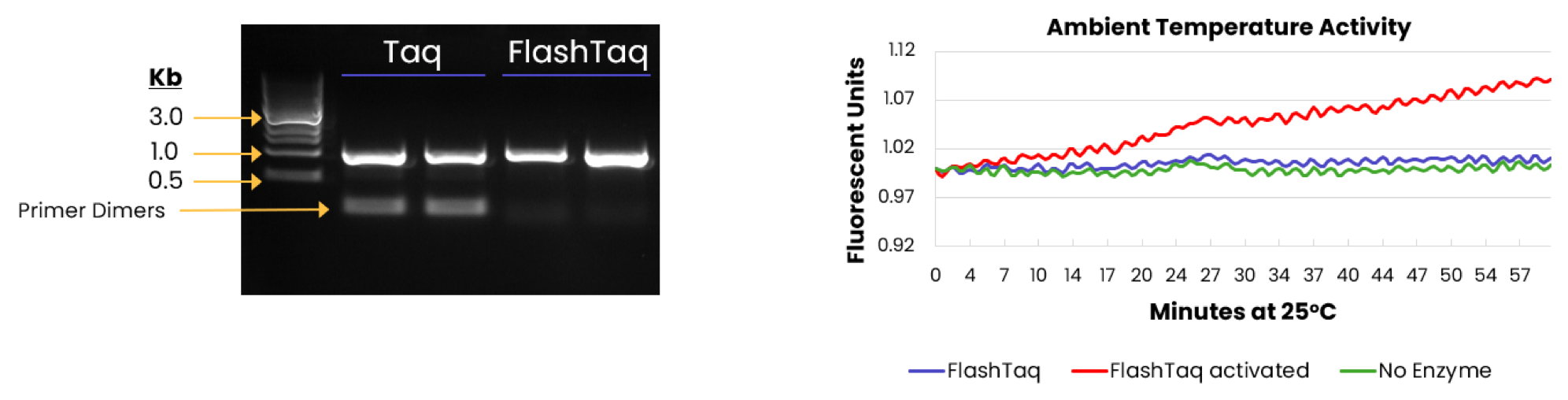 Solutions for Common Challenges in Developing PCRBased Diagnostic Assays