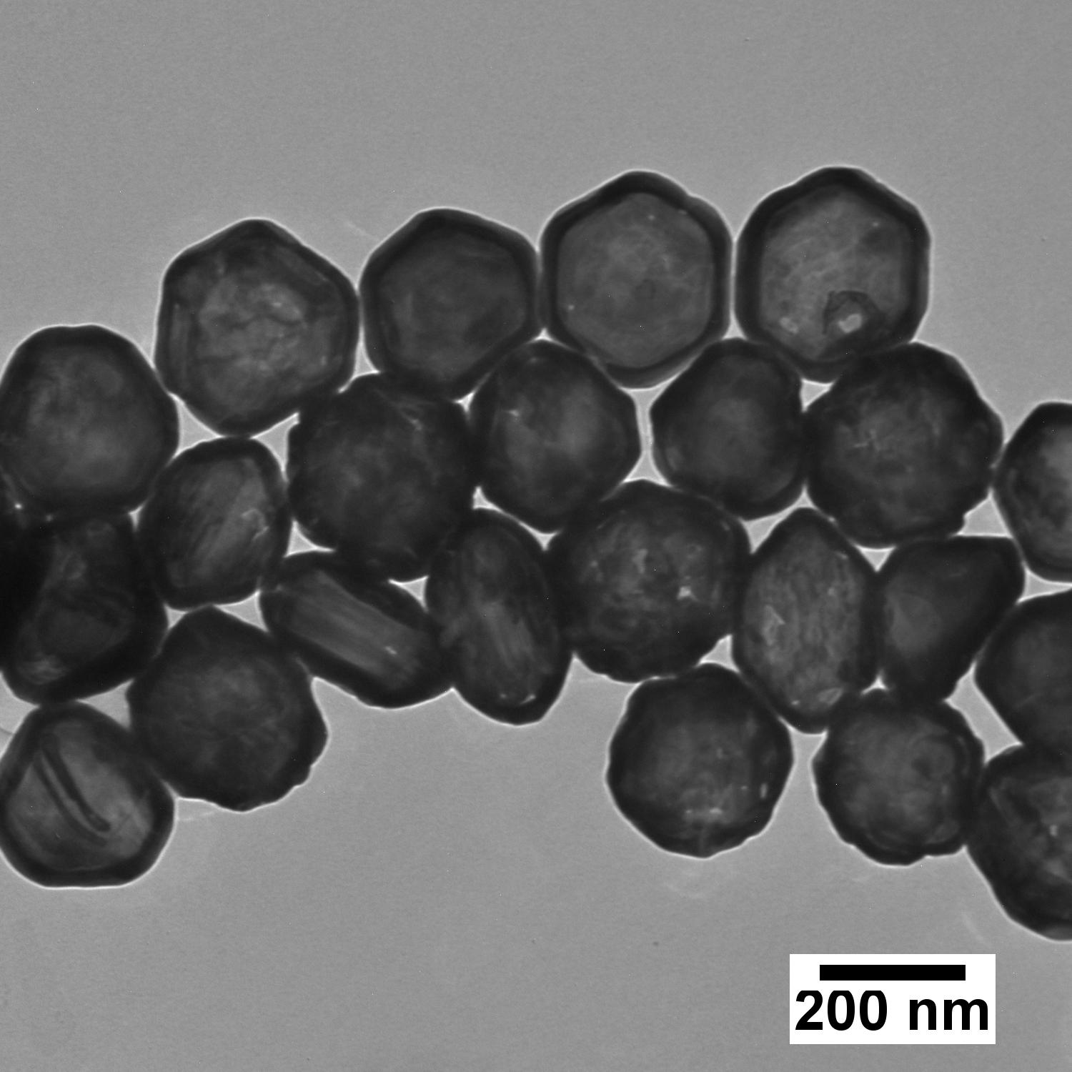 Hollow gold nanoshells