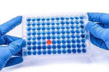 Enzyme-linked immunosorbent assay or ELISA plate, Immunology testing method in medical laboratory