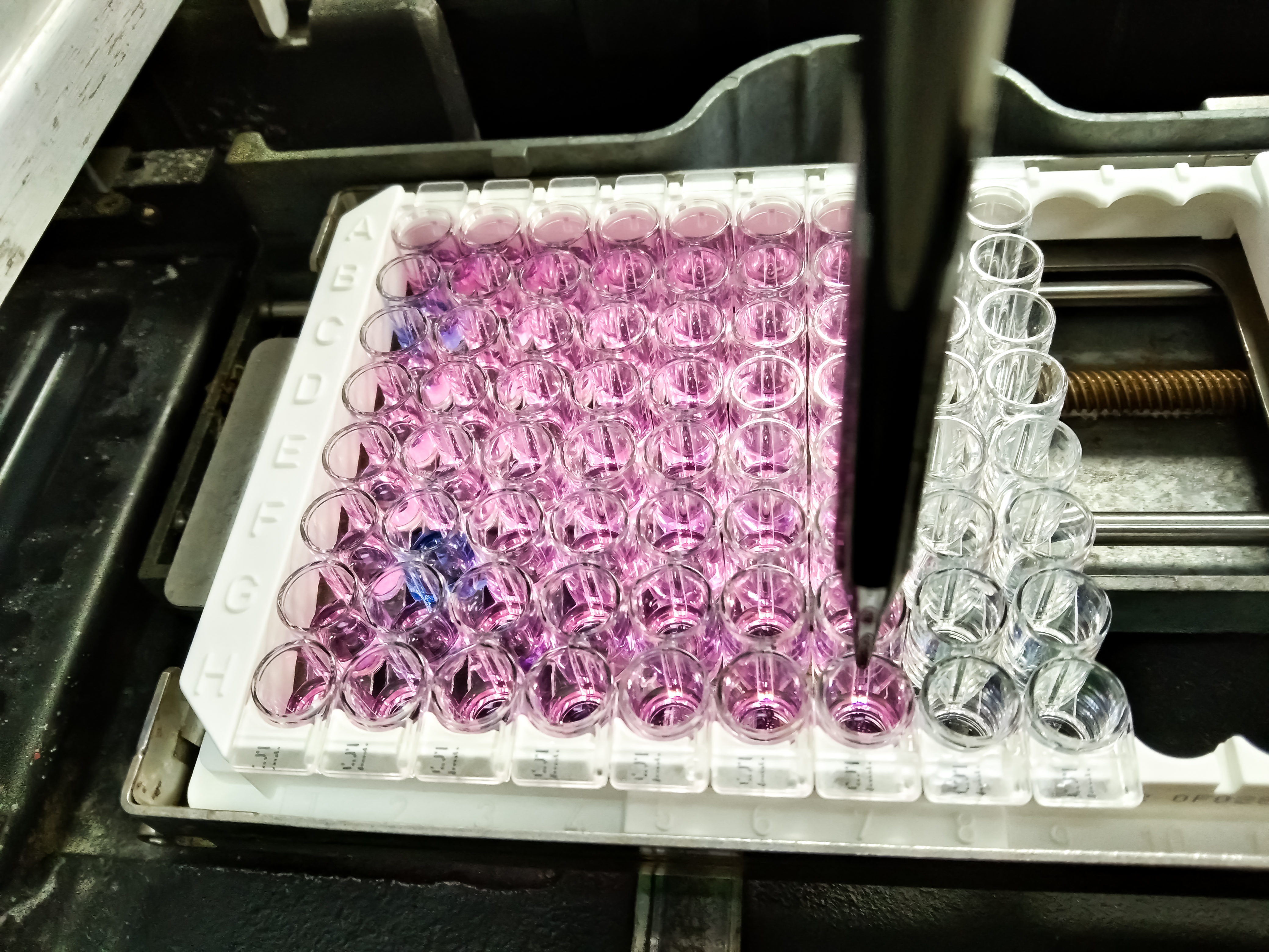 Immunoassay development from Fortis Life Sciences