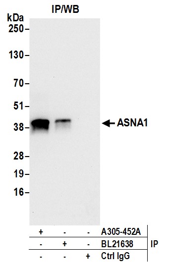 A305-452A