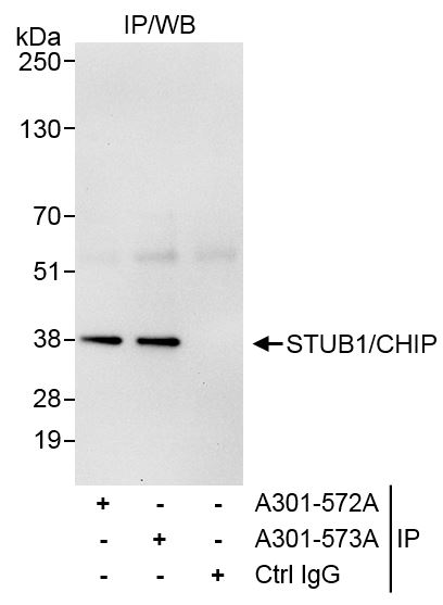 A301-572A-T
