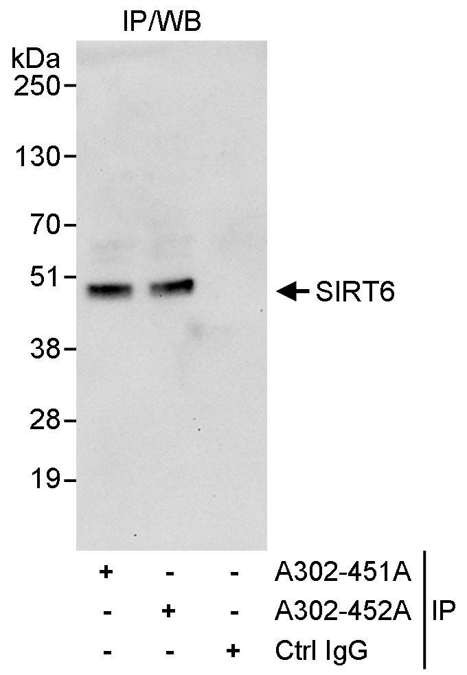 A302-451A-T