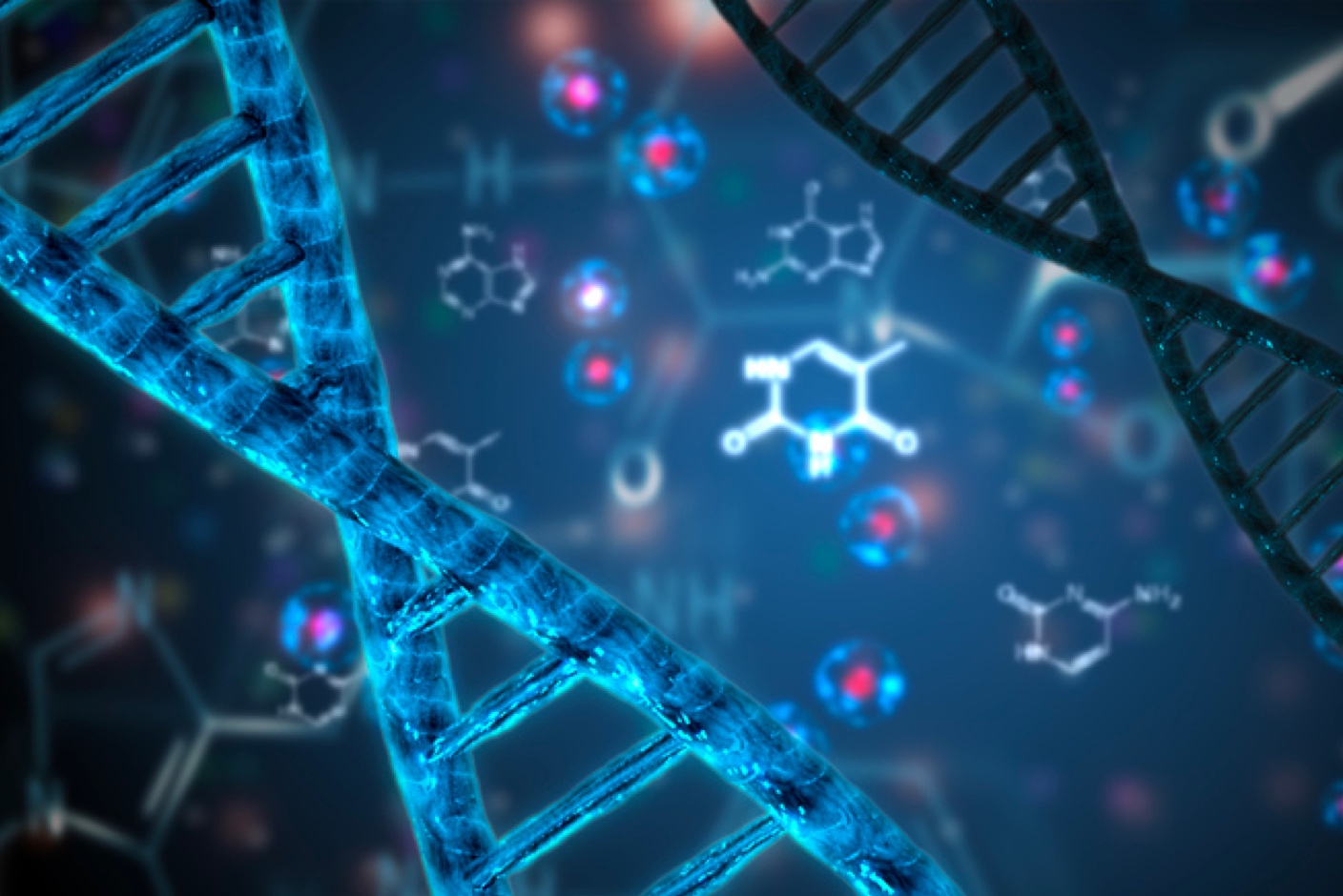 Loop-Mediated Isothermal Amplification (LAMP) Kits