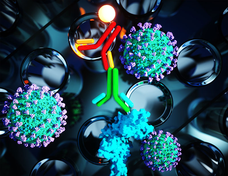 Introducing the Bethyl Laboratories SARS-CoV-2 IgG and IgM ELISA Kits